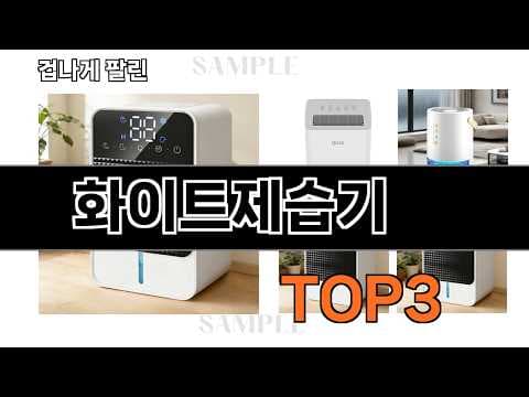가성비 좋은 인기 제습기 추천! 2026년 장마철 습기 고민 해결
