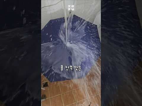 빗방울 안 남는 우산 써보니! 장마철 필수템, 뛰어난 방수력에 휴대성까지