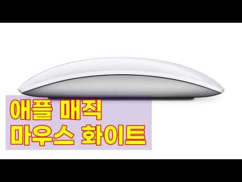 애플 매직 마우스 화이트 USB-C 써보니! 맥북 꿀조합