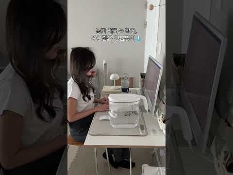 케어팟 가습기 솔직 후기, 장점 단점 비교 (내돈내산)