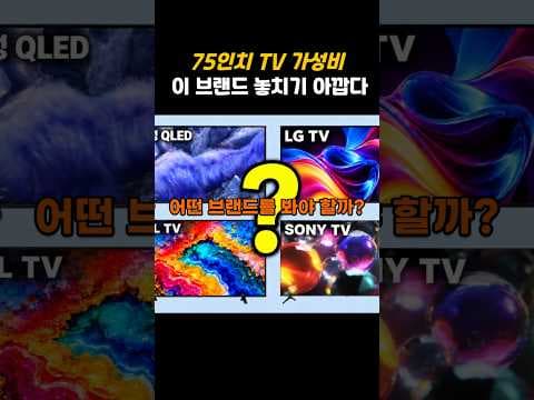 TCL 75인치 TV 추천 가성비 최강 QLED 미니LED 비교 분석