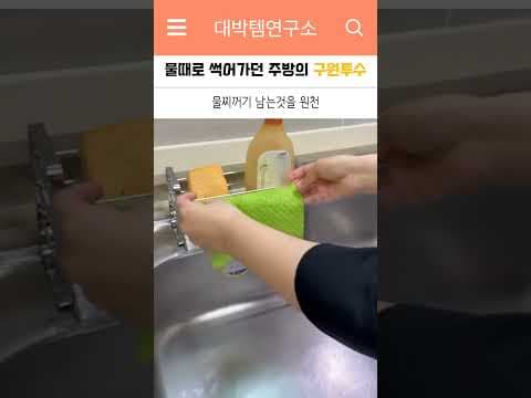 304 올스텐 수세미 거치대 특징과 주방 위생 관리법