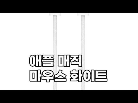 애플 매직 마우스 USB-C 화이트 직접 써보니 맥북 마우스 추천 이유가 있네요
