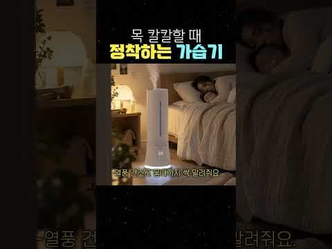 위생 걱정 없는 9L 대용량 가열식 가습기 추천