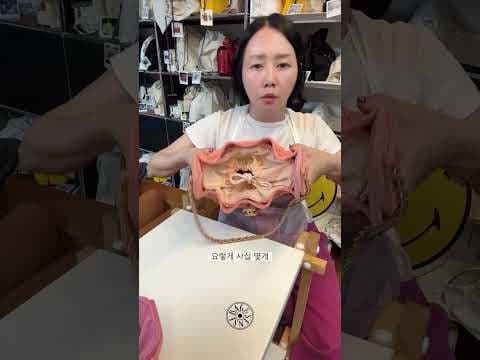 샤넬 25백 미니 이너백 백앤센스 가방 정리 놓치면 아쉬운 이유