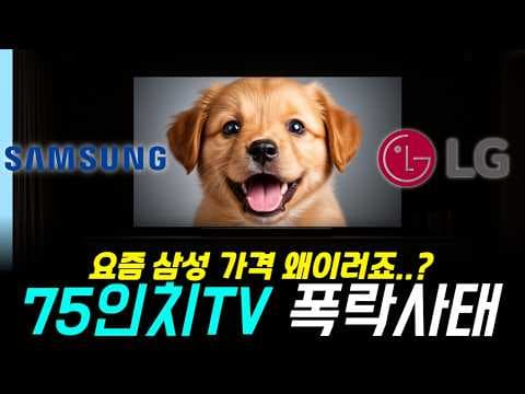 2026년 75인치 TV 구매 가이드! 가성비, OLED TV 비교