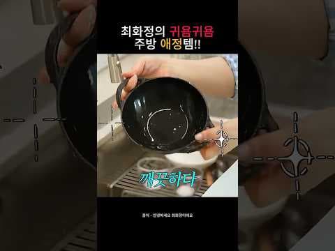 최화정 스크럽 마미 써보니 주방 청소 끝! 스크럽 대디 비교 후기