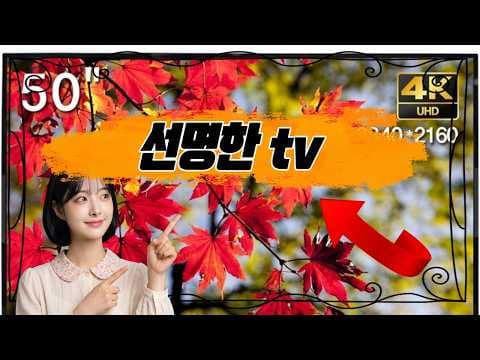 프리미엄 50 IPS 4K UHD TV 놓치면 아쉬운 고화질 TV