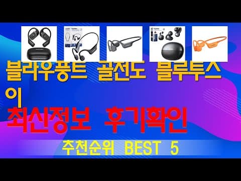블라우풍트 골전도 이어폰 추천! 인기 블루투스 이어폰 TOP5 비교