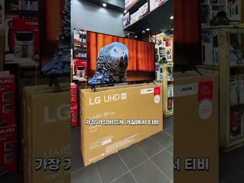 LG 4K TV 이 가격 실화? IPS 패널 거실 TV 가성비 끝판왕
