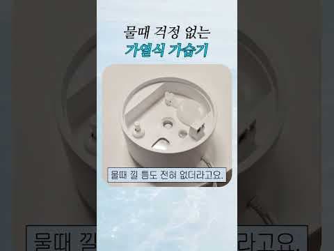 가열식 가습기 추천 자동 습도 조절과 세척 편한 관리